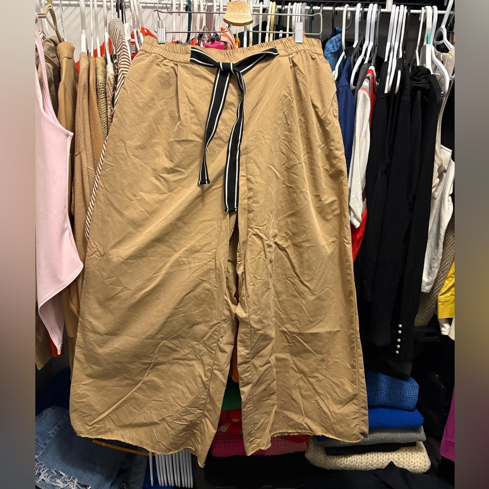 Zara Tan Wide-Leg Drawstring Chinos